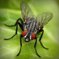 /album/liavihamqui1976/photolia-a01-jpg/