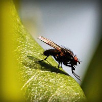 /album/liavihamqui1976/photolia-a04-jpg/