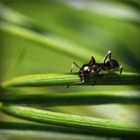 /album/liavihamqui1976/photolia-a05-jpg/