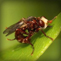 /album/liavihamqui1976/photolia-a06-jpg/