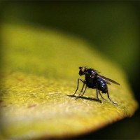 /album/liavihamqui1976/photolia-a07-jpg/